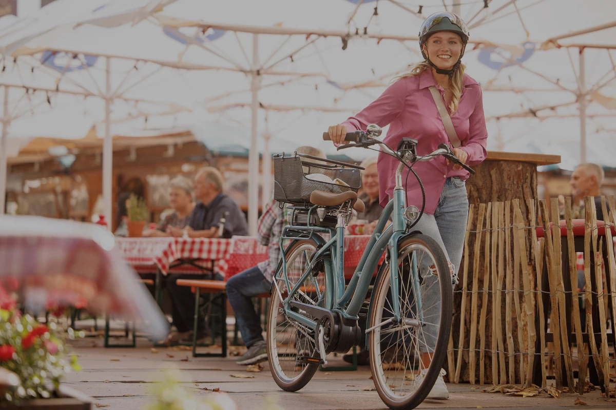 Pegasus - Flandres Bikes Bailleul